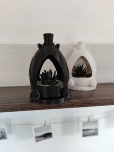 Elegant fancy cat pot planter with tray and holes for watering