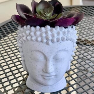 Indoor 3D Printed Buddha Head Succulent Planter