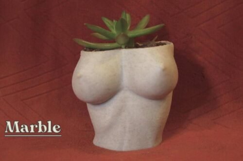 Boob Planter Feminine Torso Planter Pot