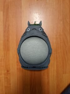 Totoro Leaf Google Home Nest Mini