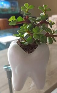 Toothbrush holder- 3D Print