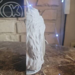 Totoro Leaf Google Home Nest Mini