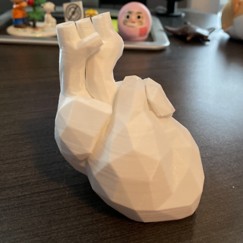 Heart Vase Anatomical Gift for Couple