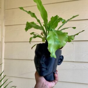 Human Head Planter Female Face Pot