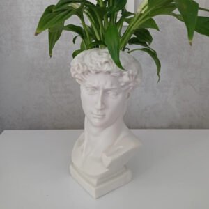 Michelangelo Statue David Head Bust Planter Vase