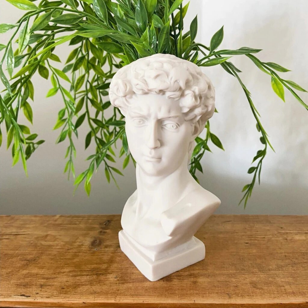 Michelangelo Statue David Head Bust Planter Vase - Makers India