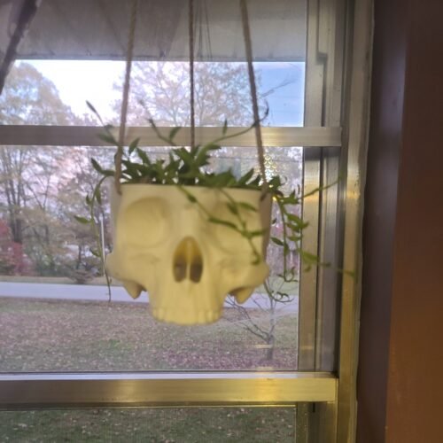 Skull Hanging Planter | Skull Pot | Cactus Planter | Different Colors Options
