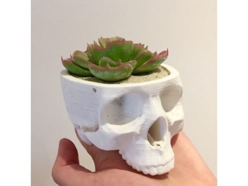 Skull Hanging Planter | Skull Pot | Cactus Planter | Different Colors  Options – Makers India