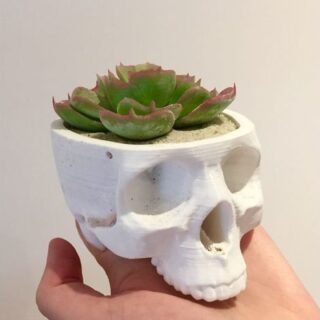 Skull Hanging Planter | Skull Pot | Cactus Planter | Different Colors Options