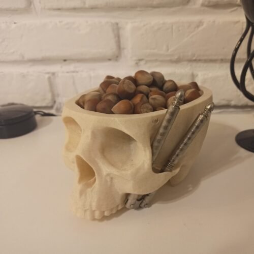 Hanging Skull Plant Pot for Home and Garden Decor