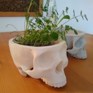 Hanging Skull Plant Pot for Home and Garden Decor