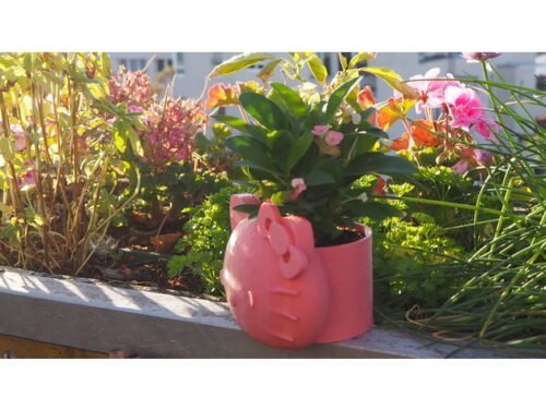 Modern Hello Kitty Succulent Planter