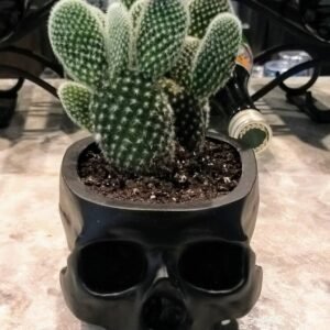 Hanging Skull Plant Pot for Home and Garden Decor