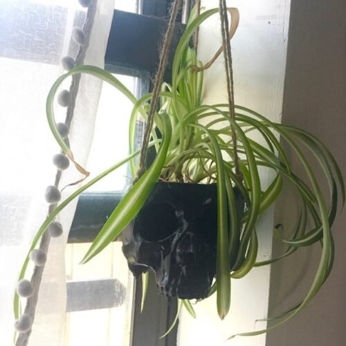 Hanging Skull Plant Pot for Home and Garden Decor