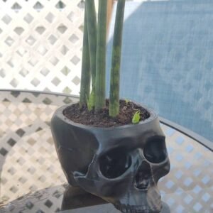 Hanging Skull Plant Pot for Home and Garden Decor