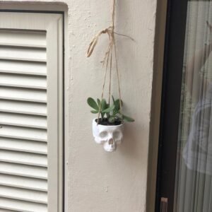 Skull Planter Pot Wall Hanging Plant Decor