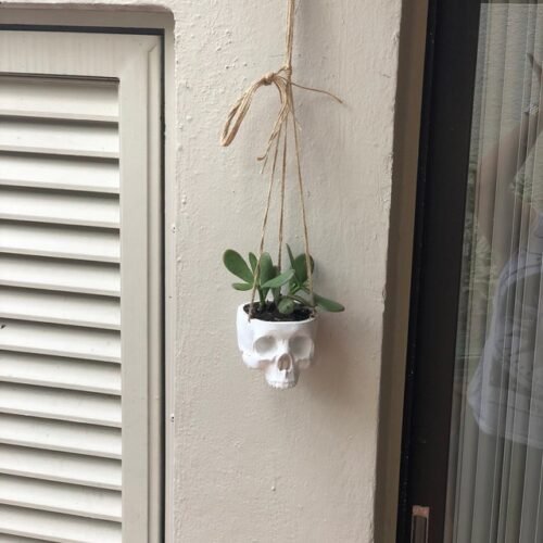 Skull Planter Pot Wall Hanging Plant Decor