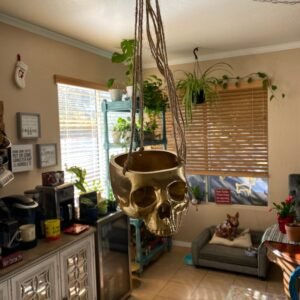 Hanging Skull Plant Pot for Home and Garden Decor