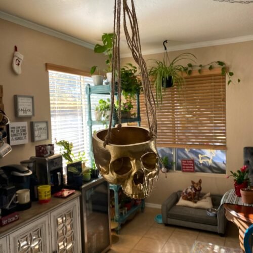 Hanging Skull Plant Pot for Home and Garden Decor
