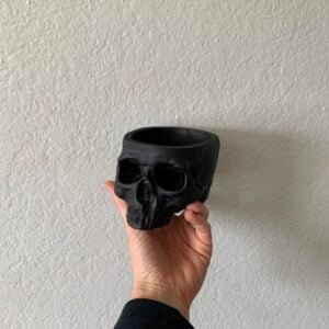 Skull Hanging Planter | Skull Pot | Cactus Planter | Different Colors Options