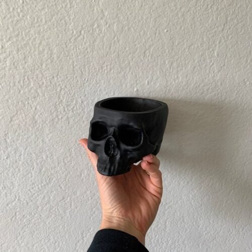 Skull Hanging Planter | Skull Pot | Cactus Planter | Different Colors Options