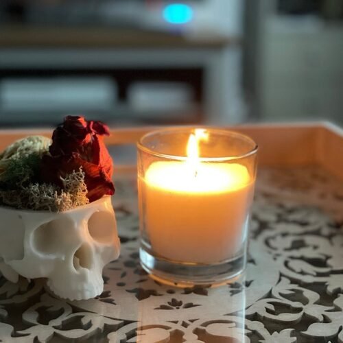 Skull Hanging Planter | Skull Pot | Cactus Planter | Different Colors Options