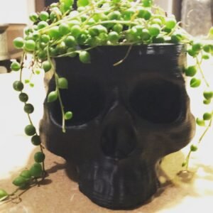Skull Planter Pot Wall Hanging Plant Decor