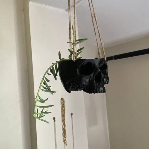 Skull Planter Pot Wall Hanging Plant Decor