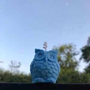 Personalized Owl Candles - Multicolored, Multiple Scents