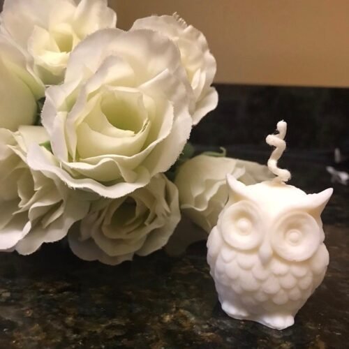 Personalized Owl Candles - Multicolored, Multiple Scents