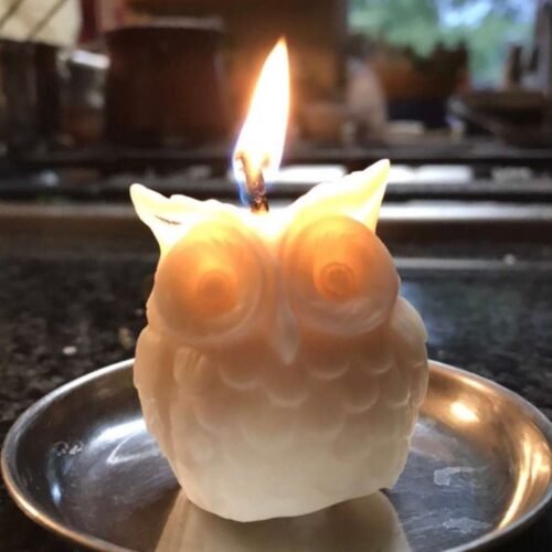 Personalized Owl Candles - Multicolored, Multiple Scents