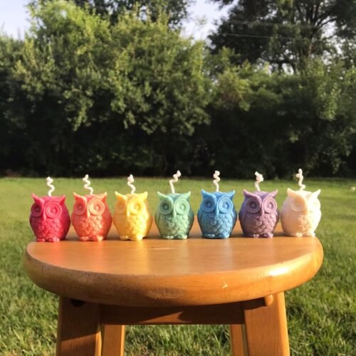 Personalized Owl Candles - Multicolored, Multiple Scents