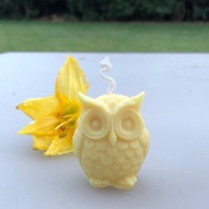 Personalized Owl Candles - Multicolored, Multiple Scents