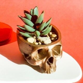 Skull Planter Pot Wall Hanging Plant Decor