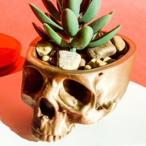 Skull Planter Pot Wall Hanging Plant Decor
