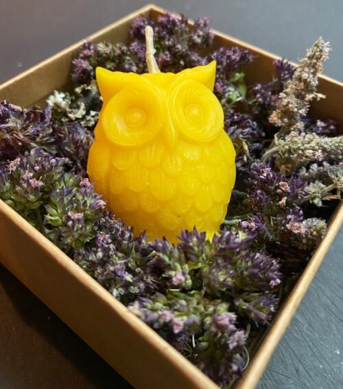 Pure Beeswax Owl Candle Harry Potter Halloween Animal Candles