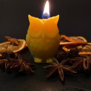 Pure Beeswax Owl Candle Harry Potter Halloween Animal Candles
