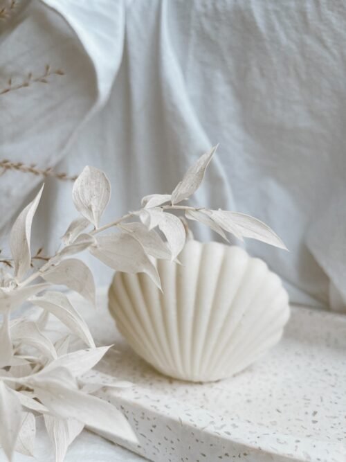Seashell Candles