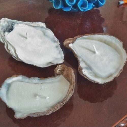 Oyster Shell Candles