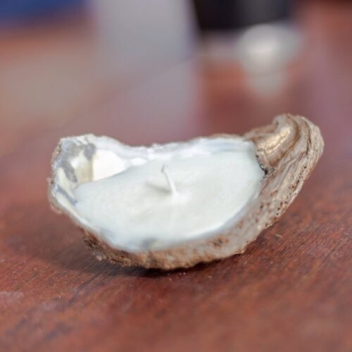 Oyster Shell Candles