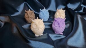 Harry Potter Owl Scented Soy Wax Home Decor Candles