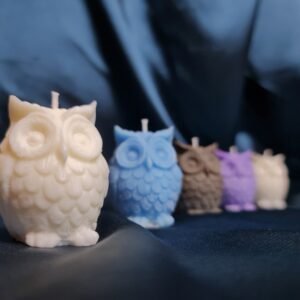 Harry Potter Owl Scented Soy Wax Home Decor Candles