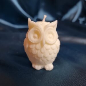 Harry Potter Owl Scented Soy Wax Home Decor Candles