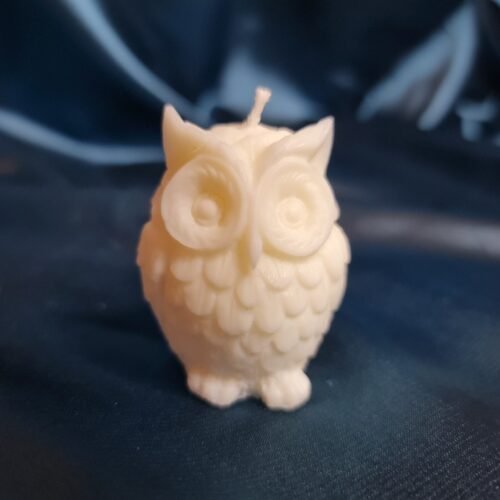 Harry Potter Owl Scented Soy Wax Home Decor Candles