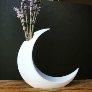 Crescent Moon Vase 3D Printed Planter pot Home decor Mothersday gift, succulent pot, cool planter pot, indoor planter, zen garden