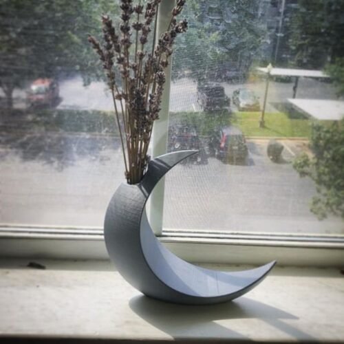 Crescent Moon Vase 3D Printed Planter pot Home decor Mothersday gift, succulent pot, cool planter pot, indoor planter, zen garden