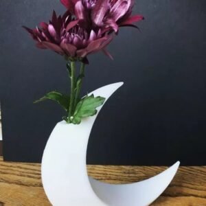 Crescent Moon Vase 3D Printed Planter pot Home decor Mothersday gift, succulent pot, cool planter pot, indoor planter, zen garden