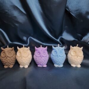 Harry Potter Owl Scented Soy Wax Home Decor Candles