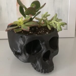 Hanging Skull Plant Pot for Home and Garden Decor