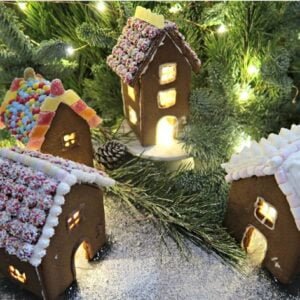 Gingerbread House Cookie Cutter Set (Short Version)